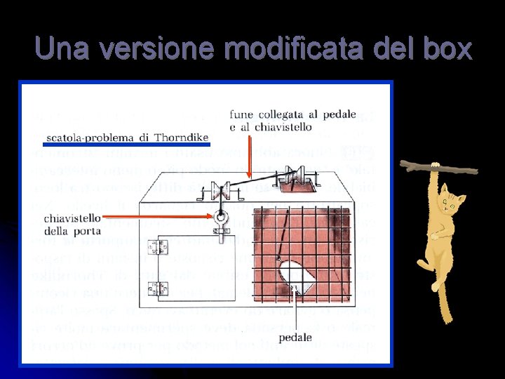 Una versione modificata del box 