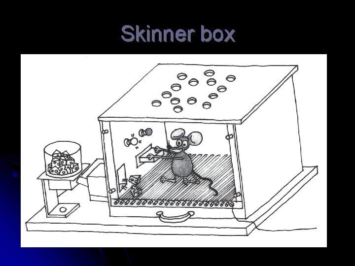 Skinner box © Marina Cosenza 
