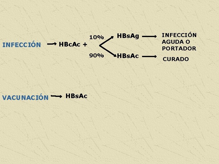 INFECCIÓN VACUNACIÓN HBc. Ac + HBs. Ac 10% HBs. Ag 90% HBs. Ac INFECCIÓN