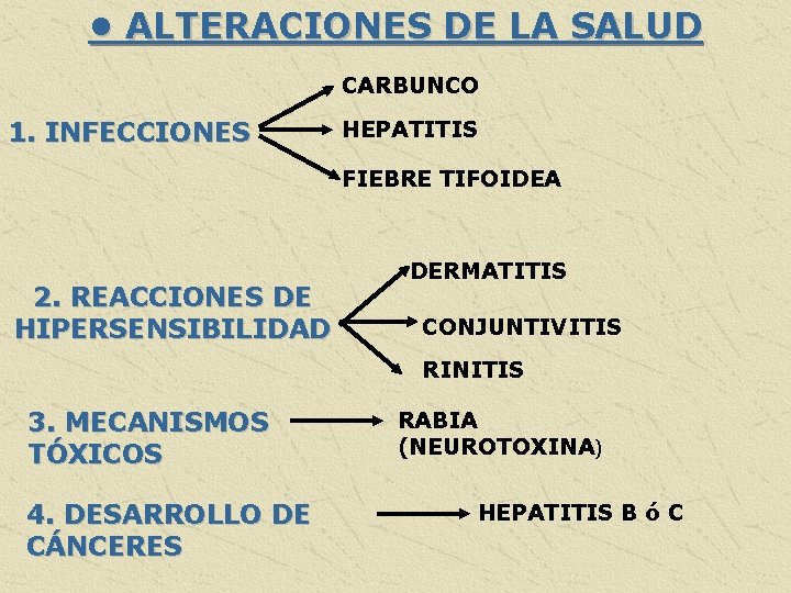  • ALTERACIONES DE LA SALUD CARBUNCO 1. INFECCIONES HEPATITIS FIEBRE TIFOIDEA 2. REACCIONES