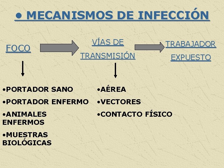  • MECANISMOS DE INFECCIÓN FOCO VÍAS DE TRABAJADOR TRANSMISIÓN EXPUESTO • PORTADOR SANO