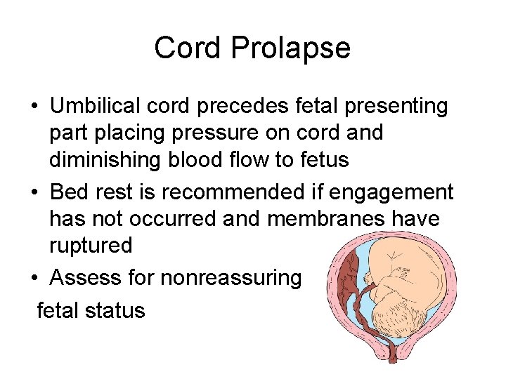 Cord Prolapse • Umbilical cord precedes fetal presenting part placing pressure on cord and
