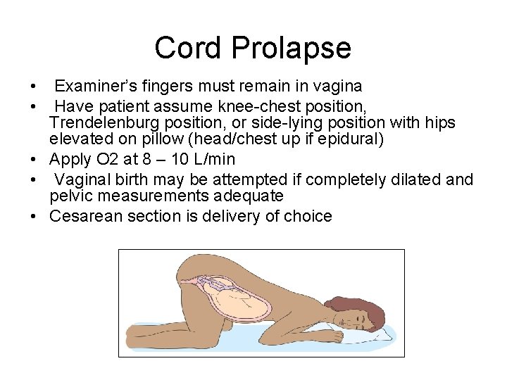 Cord Prolapse • • Examiner’s fingers must remain in vagina Have patient assume knee-chest