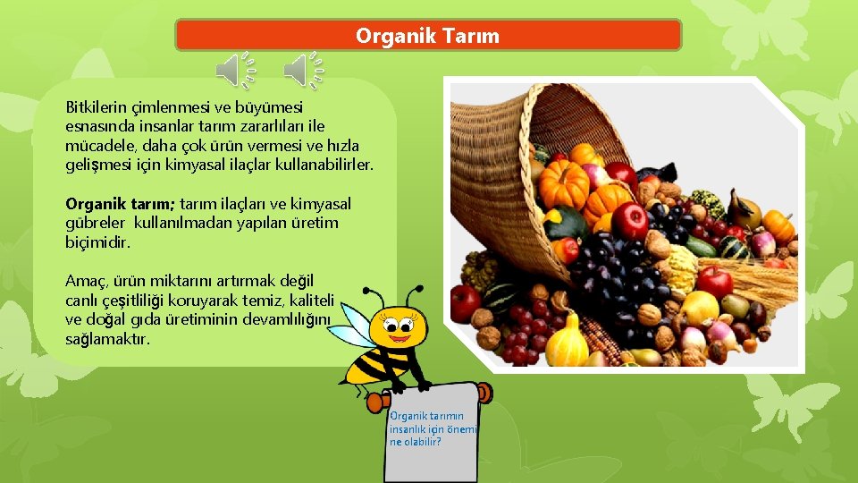 Organik Tarım Bitkilerin çimlenmesi ve büyümesi esnasında insanlar tarım zararlıları ile mücadele, daha çok