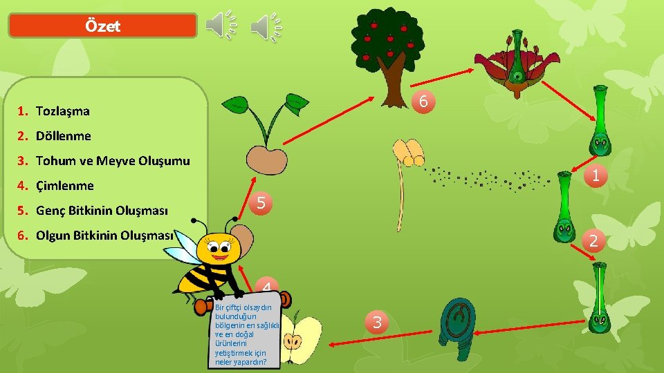 Özet 6 1. Tozlaşma 2. Döllenme 3. Tohum ve Meyve Oluşumu 4. Çimlenme 5.