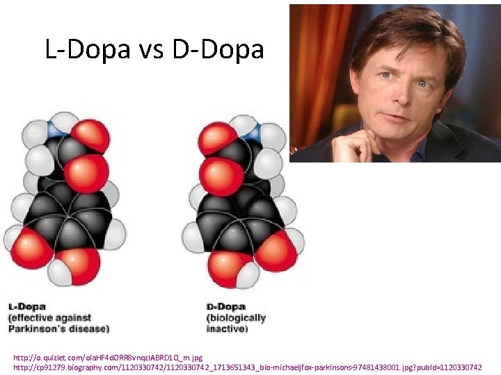 L-Dopa vs D-Dopa http: //o. quizlet. com/ola. HF 4 d. ORR 8 vnqz. IABRD