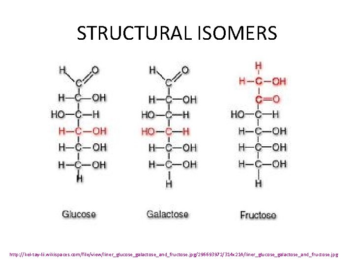 STRUCTURAL ISOMERS http: //kel-tay-lii. wikispaces. com/file/view/liner_glucose_galactose_and_fructose. jpg/296693972/314 x 214/liner_glucose_galactose_and_fructose. jpg 