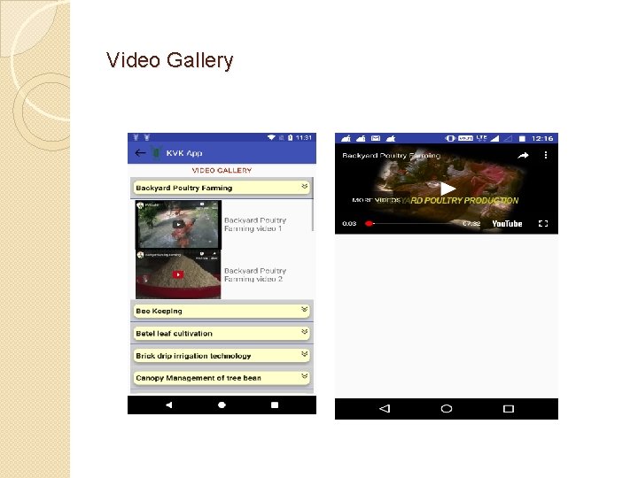 Video Gallery 