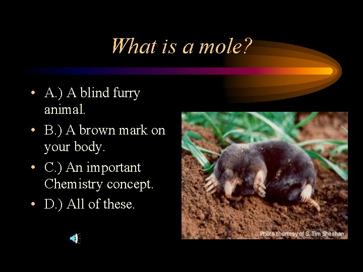 What is a mole? • A. ) A blind furry animal. • B. )