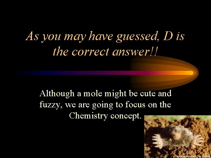 As you may have guessed, D is the correct answer!! Although a mole might