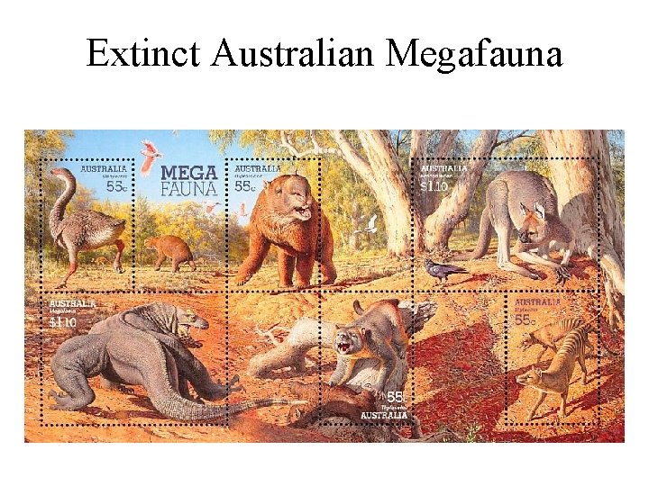 Extinct Australian Megafauna 
