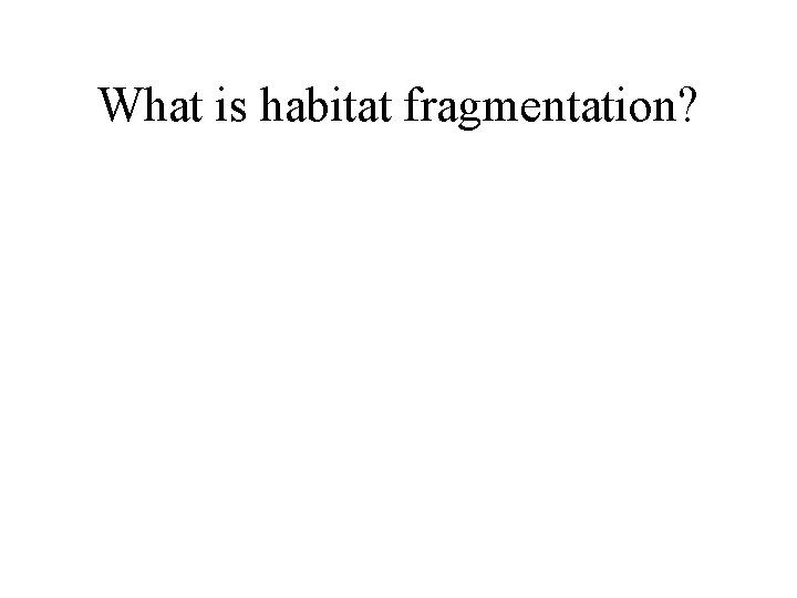 What is habitat fragmentation? 