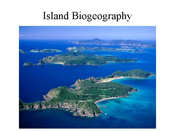 Island Biogeography 