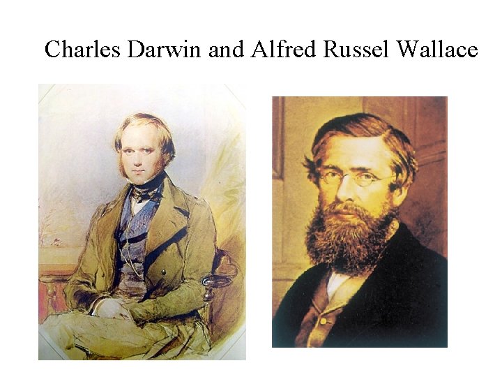 Charles Darwin and Alfred Russel Wallace 