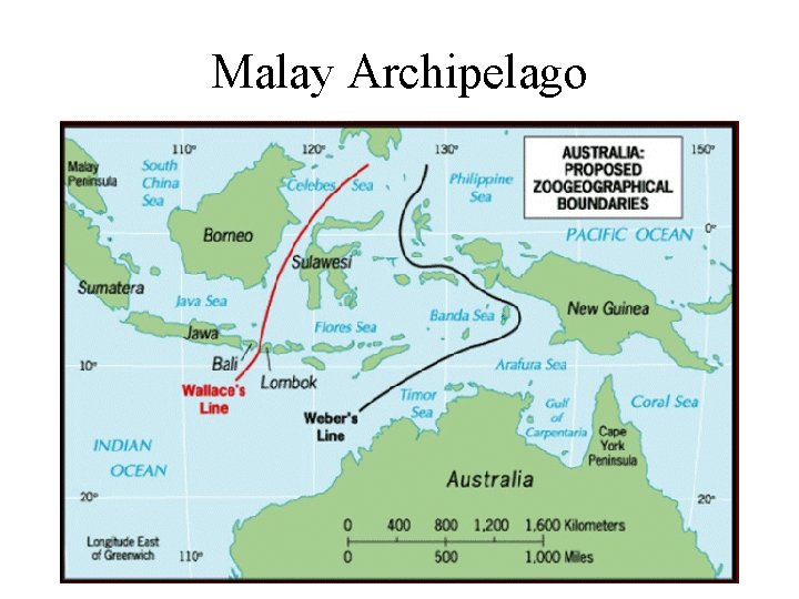 Malay Archipelago 