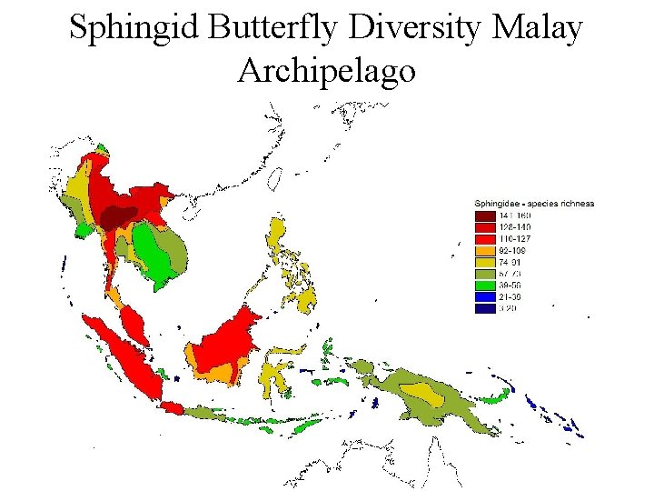 Sphingid Butterfly Diversity Malay Archipelago 