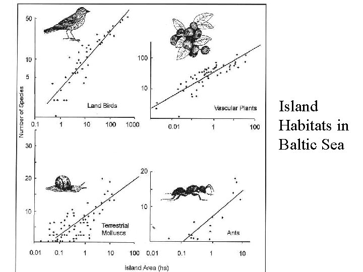 Island Habitats in Baltic Sea 