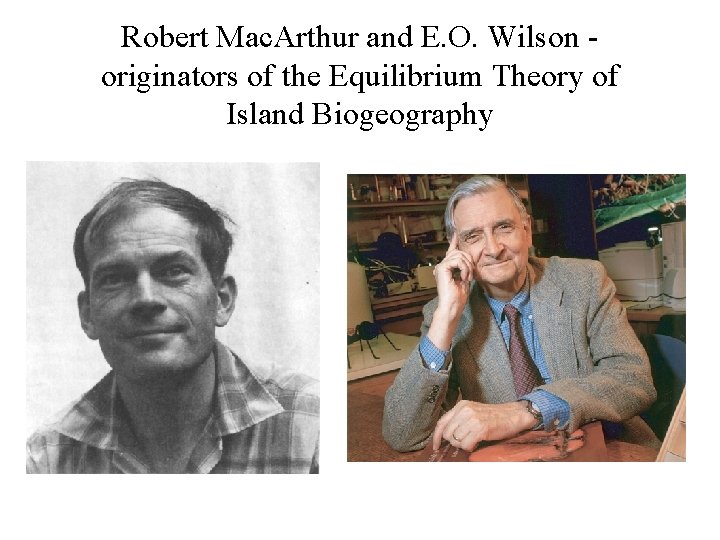 Robert Mac. Arthur and E. O. Wilson originators of the Equilibrium Theory of Island