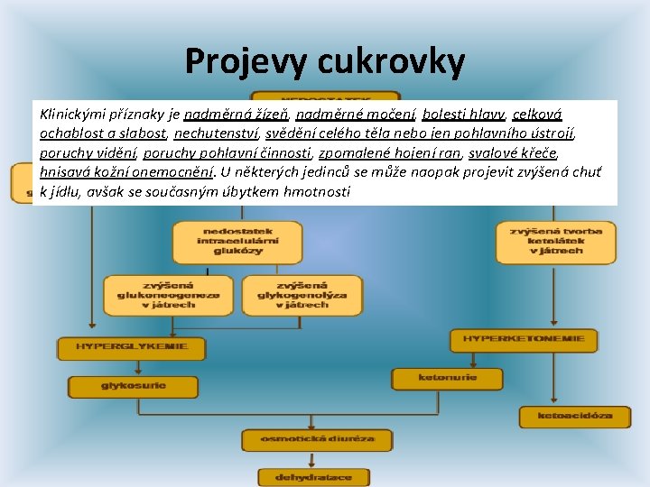 Projevy cukrovky Klinickými příznaky je nadměrná žízeň, nadměrné močení, bolesti hlavy, celková ochablost a