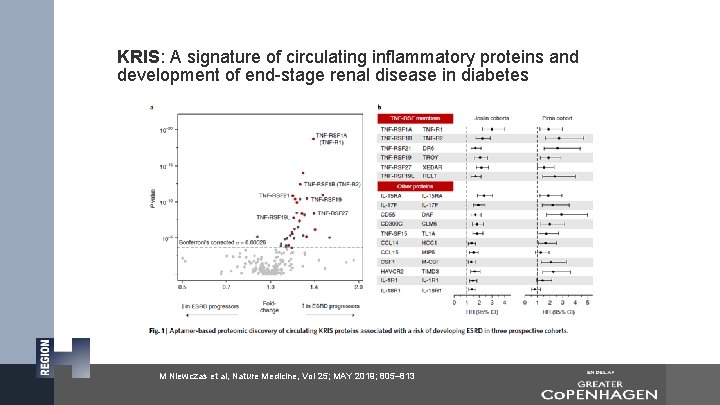 KRIS: A signature of circulating inflammatory proteins and development of end-stage renal disease in