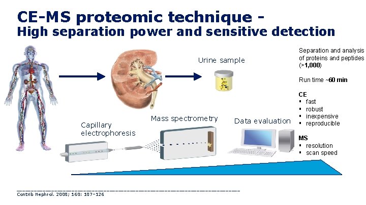 CE MS proteomic technique 16 High separation power and sensitive detection Urine sample Separation