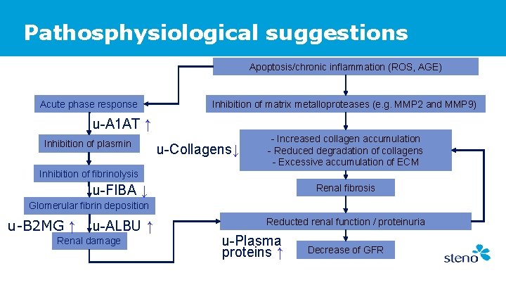 Pathosphysiological suggestions Apoptosis/chronic inflammation (ROS, AGE) Acute phase response Inhibition of matrix metalloproteases (e.