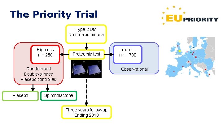 The Priority Trial Type 2 DM Normoalbuminuria High-risk n ~ 250 Proteomic test Randomised