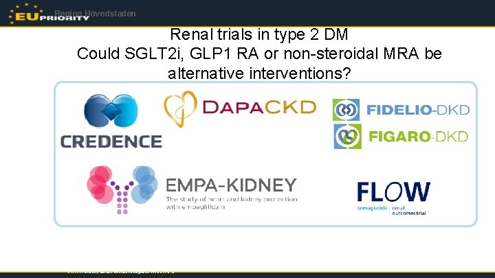 Region Hovedstaden Renal trials in type 2 DM Could SGLT 2 i, GLP 1