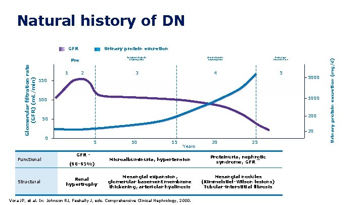 6 Natural history of DN GFR Glomerular filtration rate (GFR) (m. L/min) Pre 1