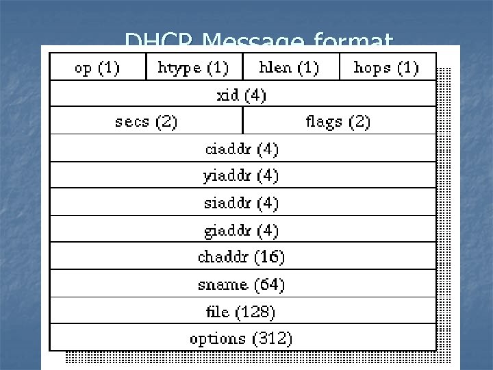 DHCP Message format 