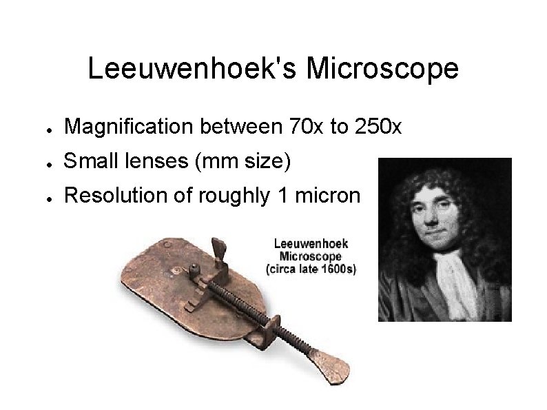 Leeuwenhoek's Microscope ● Magnification between 70 x to 250 x ● Small lenses (mm