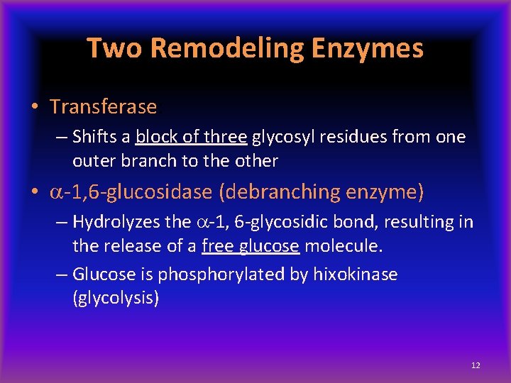 Two Remodeling Enzymes • Transferase: – Shifts a block of three glycosyl residues from