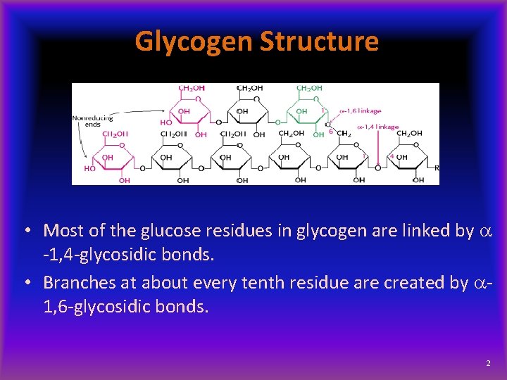 Glycogen Structure • Most of the glucose residues in glycogen are linked by a