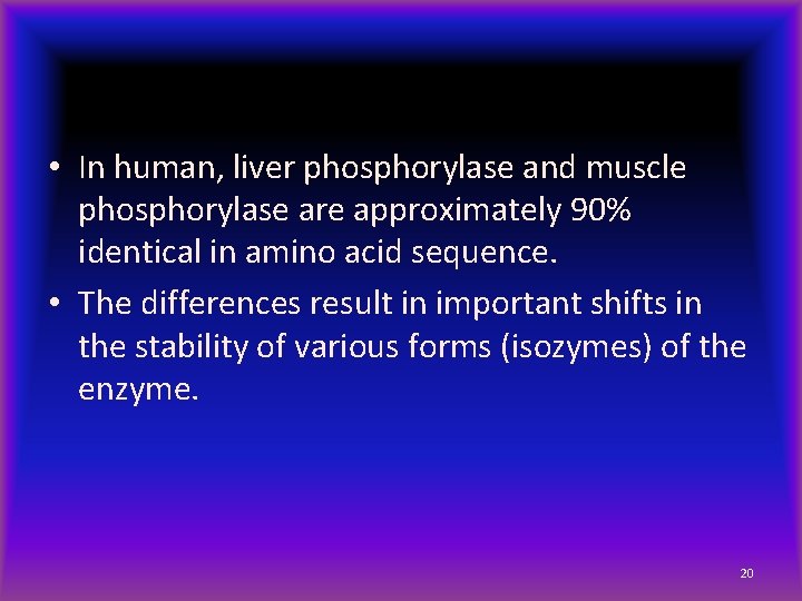  • In human, liver phosphorylase and muscle phosphorylase are approximately 90% identical in