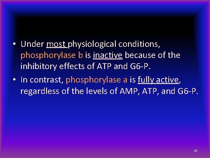  • Under most physiological conditions, phosphorylase b is inactive because of the inhibitory