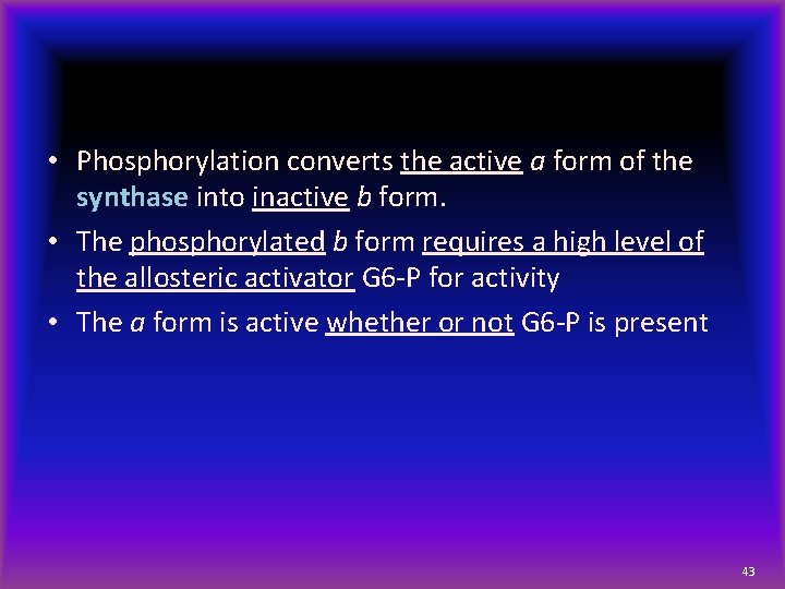  • Phosphorylation converts the active a form of the synthase into inactive b