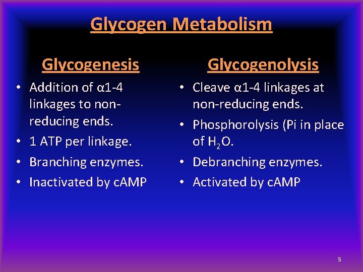 Glycogen Metabolism Glycogenesis • Addition of α 1 -4 linkages to nonreducing ends. •