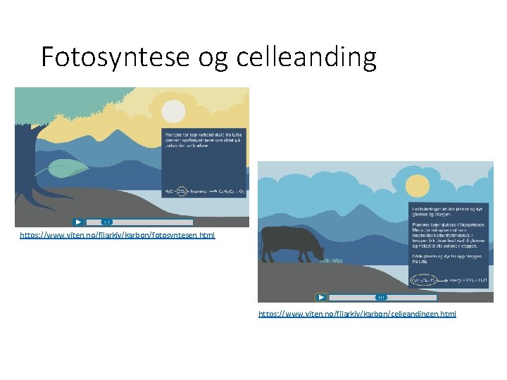 Fotosyntese og celleanding https: //www. viten. no/filarkiv/karbon/fotosyntesen. html https: //www. viten. no/filarkiv/karbon/celleandingen. html 