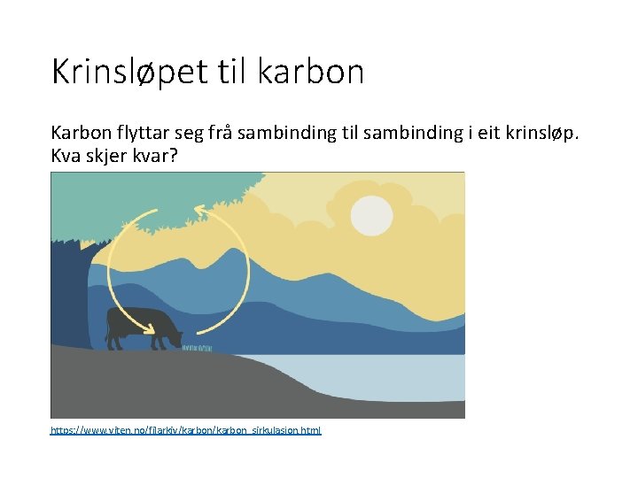 Krinsløpet til karbon Karbon flyttar seg frå sambinding til sambinding i eit krinsløp. Kva