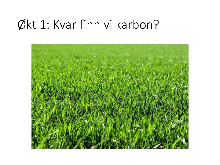 Økt 1: Kvar finn vi karbon? 