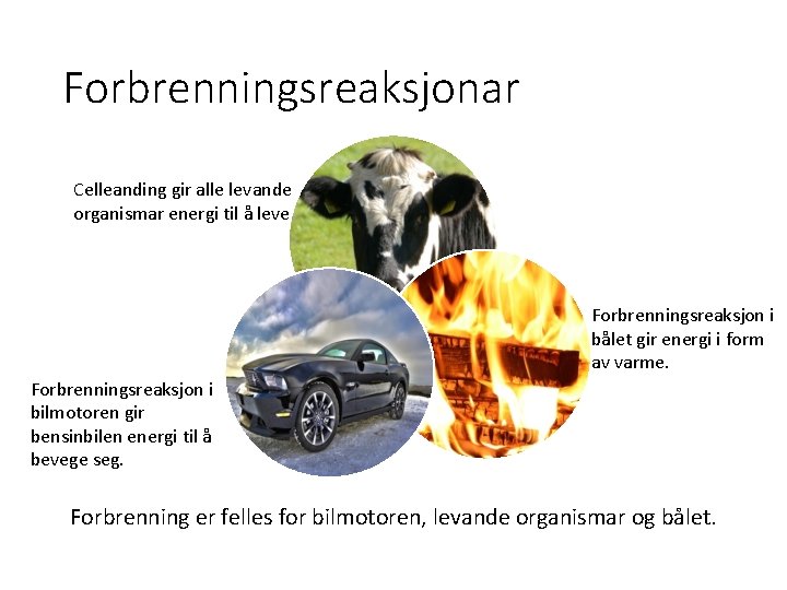 Forbrenningsreaksjonar Celleanding gir alle levande organismar energi til å leve. Forbrenningsreaksjon i bålet gir