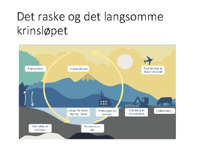 Det raske og det langsomme krinsløpet 