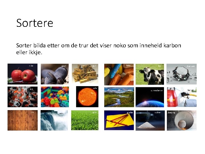 Sortere Sorter bilda etter om de trur det viser noko som inneheld karbon eller