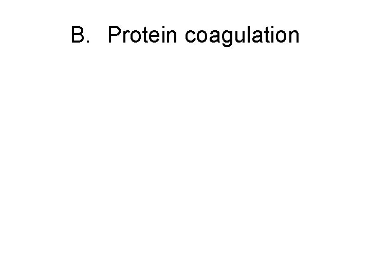 B. Protein coagulation 