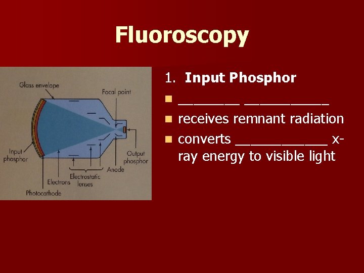 Fluoroscopy 1. Input Phosphor n ___________ n receives remnant radiation n converts ______ xray