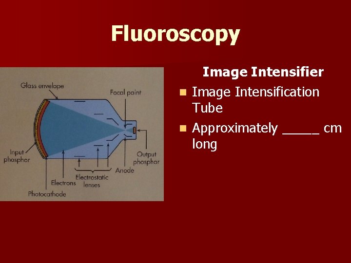 Fluoroscopy Image Intensifier n Image Intensification Tube n Approximately _____ cm long 