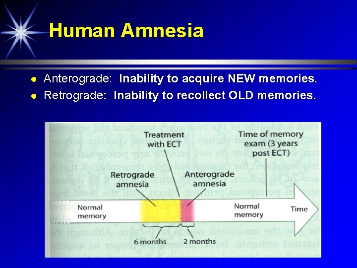 Human Amnesia Anterograde: Inability to acquire NEW memories. Retrograde: Inability to recollect OLD memories.