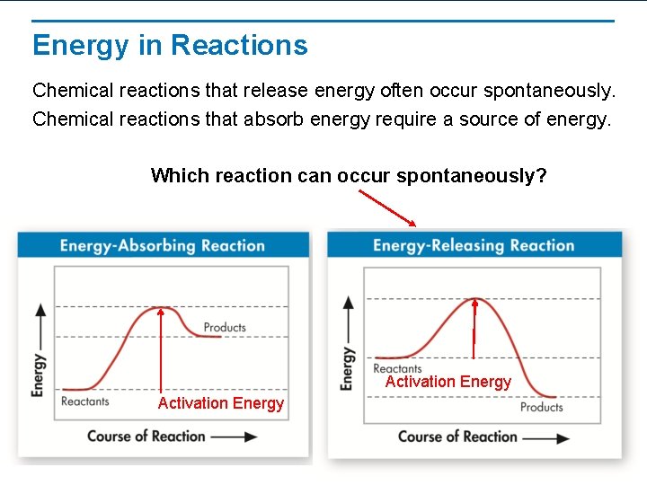 Energy in Reactions Chemical reactions that release energy often occur spontaneously. Chemical reactions that