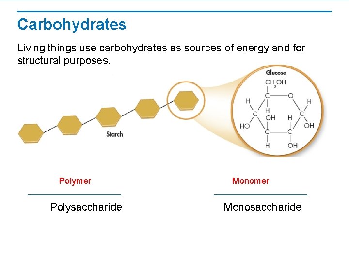 Carbohydrates Living things use carbohydrates as sources of energy and for structural purposes. Polymer