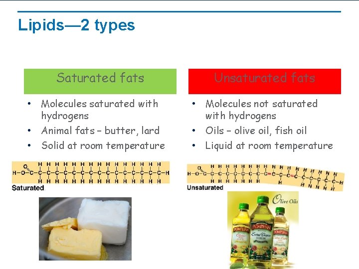 Lipids— 2 types Saturated fats • Molecules saturated with hydrogens • Animal fats –